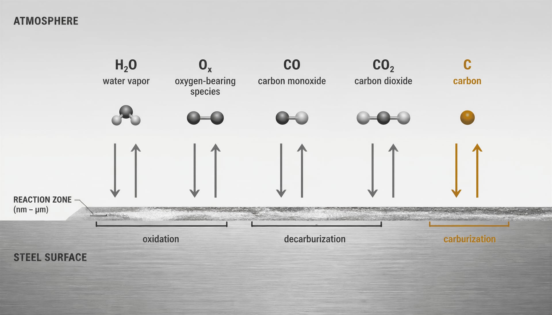 Schematic of gas species exchanging oxygen and carbon at a steel surface.