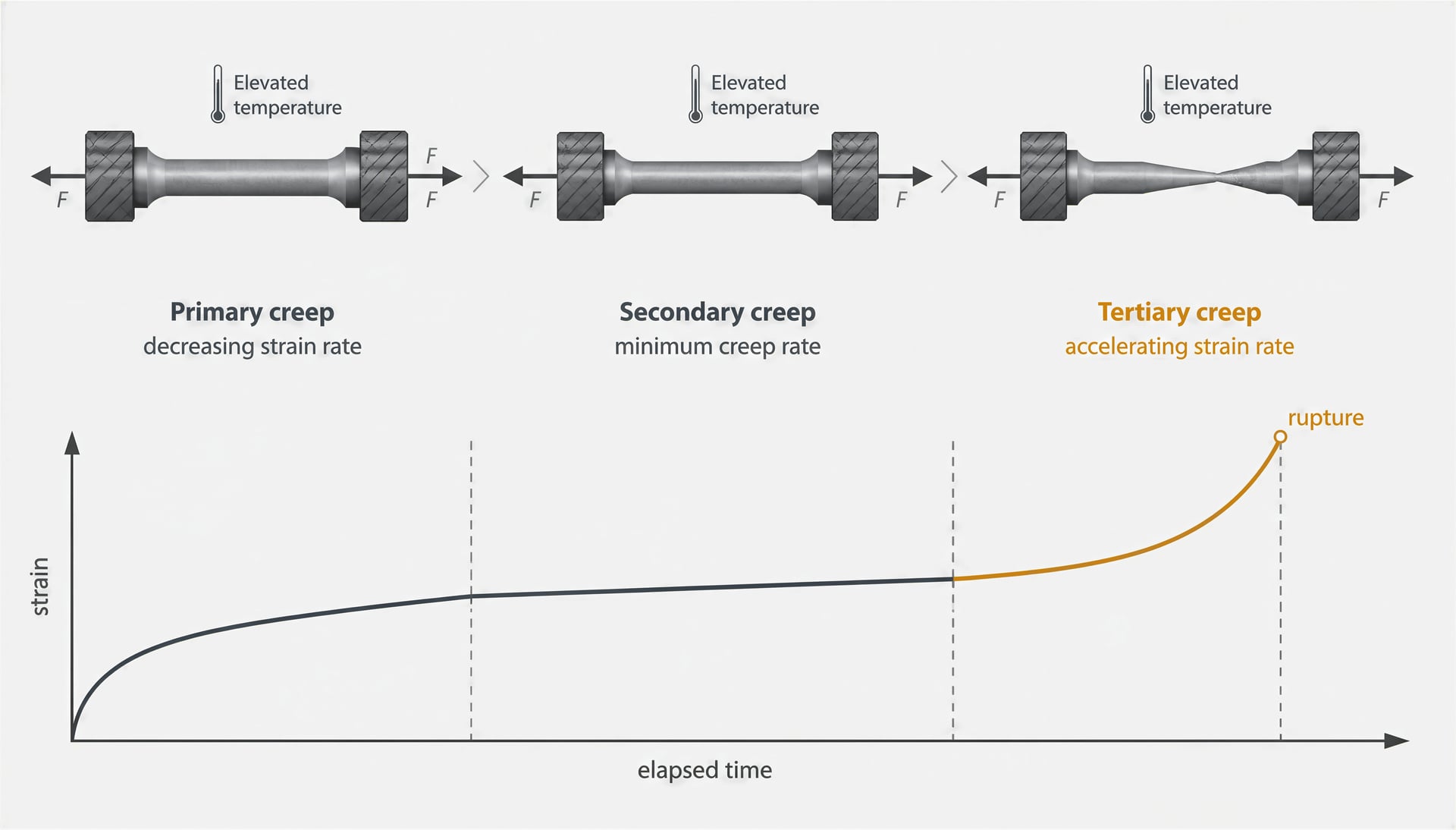 Diagram of primary, secondary, and tertiary creep in a steel specimen