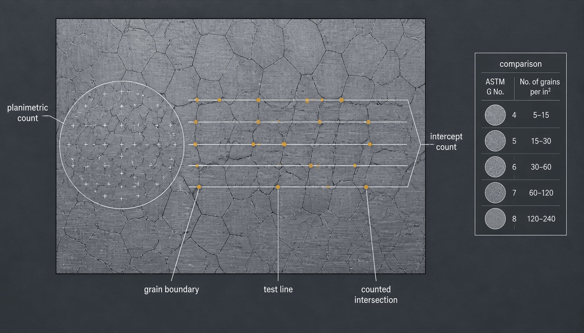 ASTM E112 measurement field with planimetric and intercept overlays on etched steel grains.