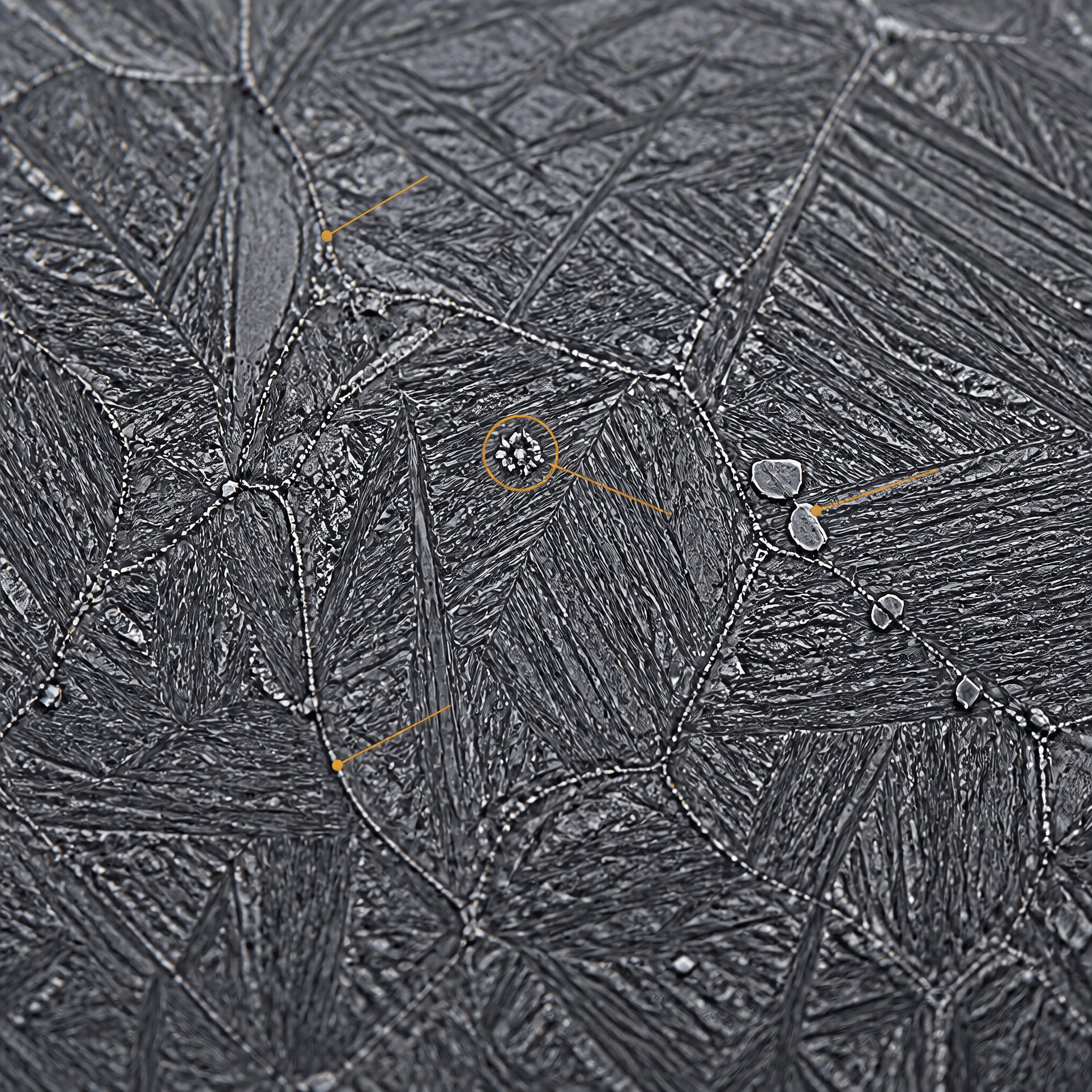 Tempered-martensitic Grade 91 steel with laths and strengthening precipitates
