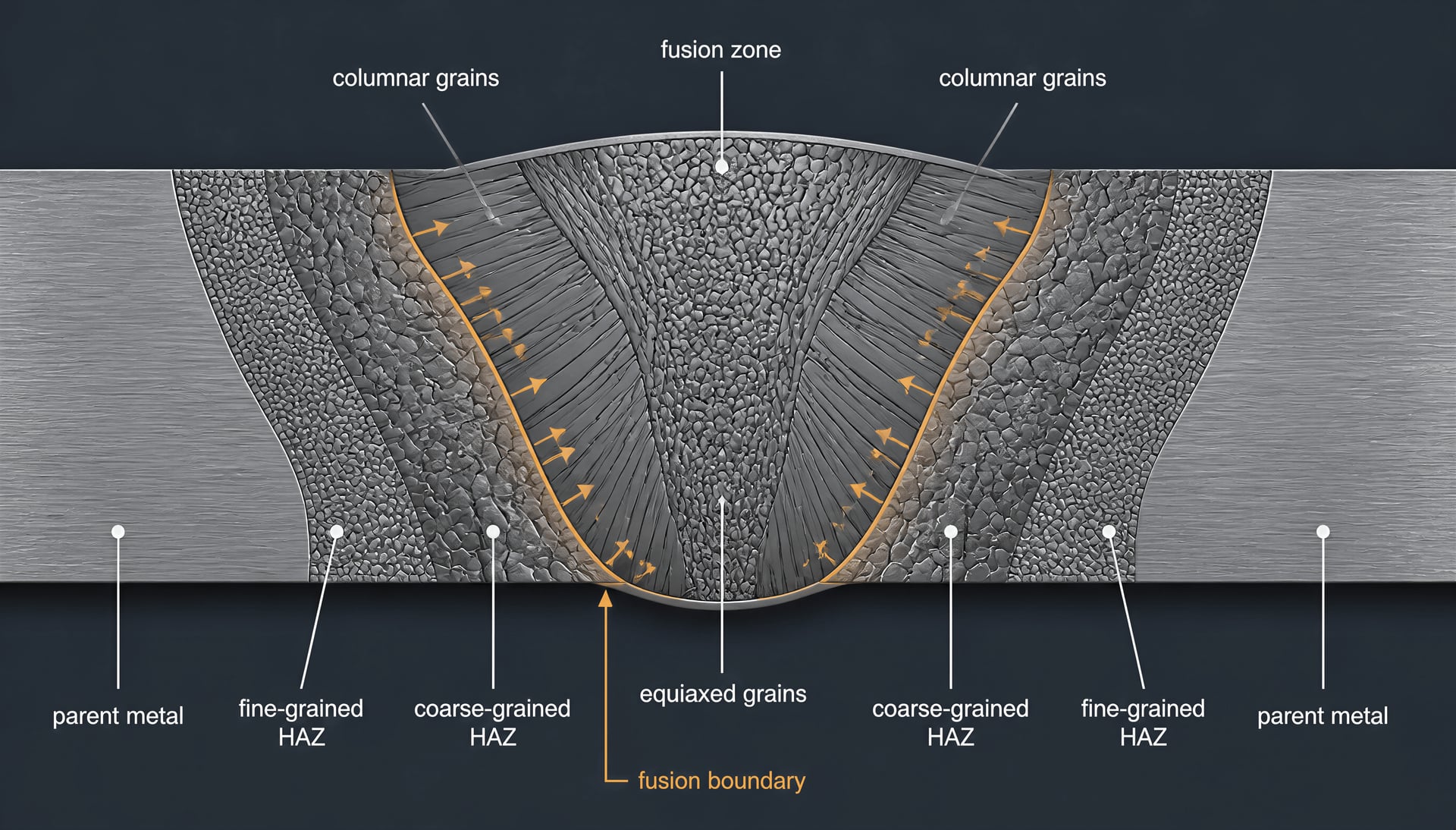 Weld cross-section showing columnar fusion-zone grains and coarse- and fine-grained heat-affected zones.