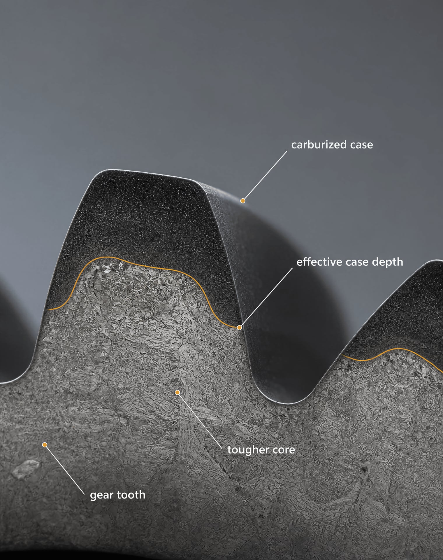 Metallographic cross-section of a carburized gear tooth with a hard case and tougher core