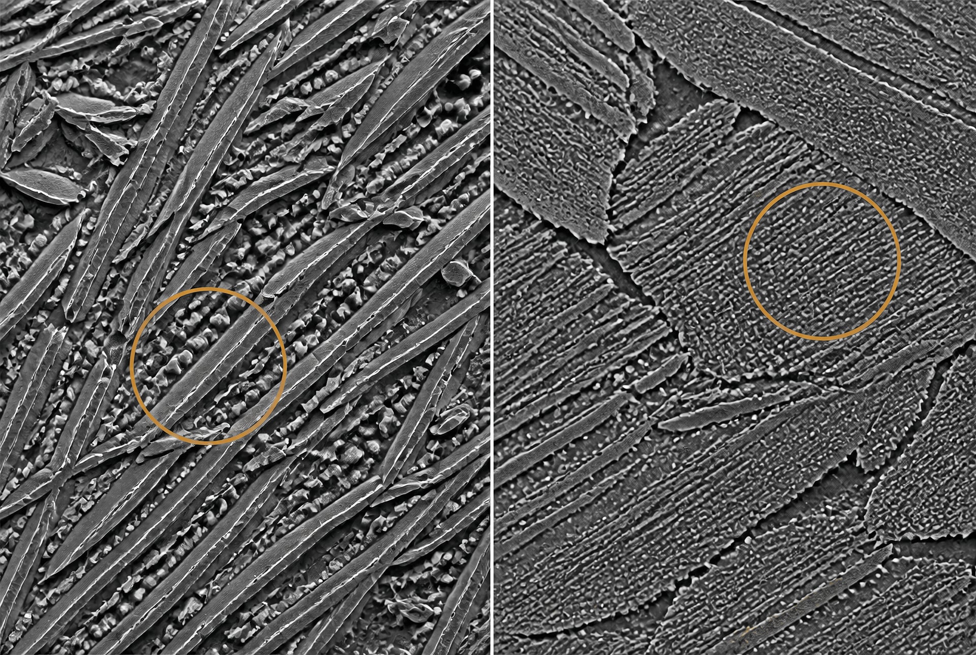 Microstructuren van staal na warmtebehandeling